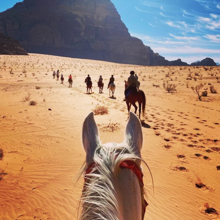 Petra & Wadi Rum 8 Days Luxury Style (5 Riding Days)